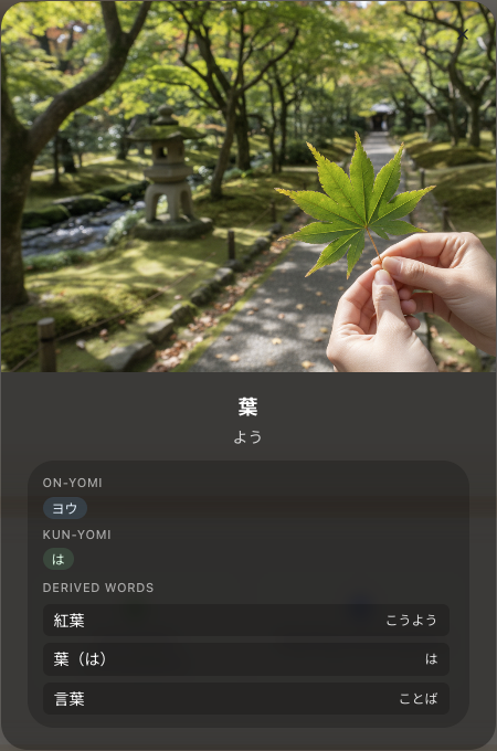 Vocabulary Card App Mockup